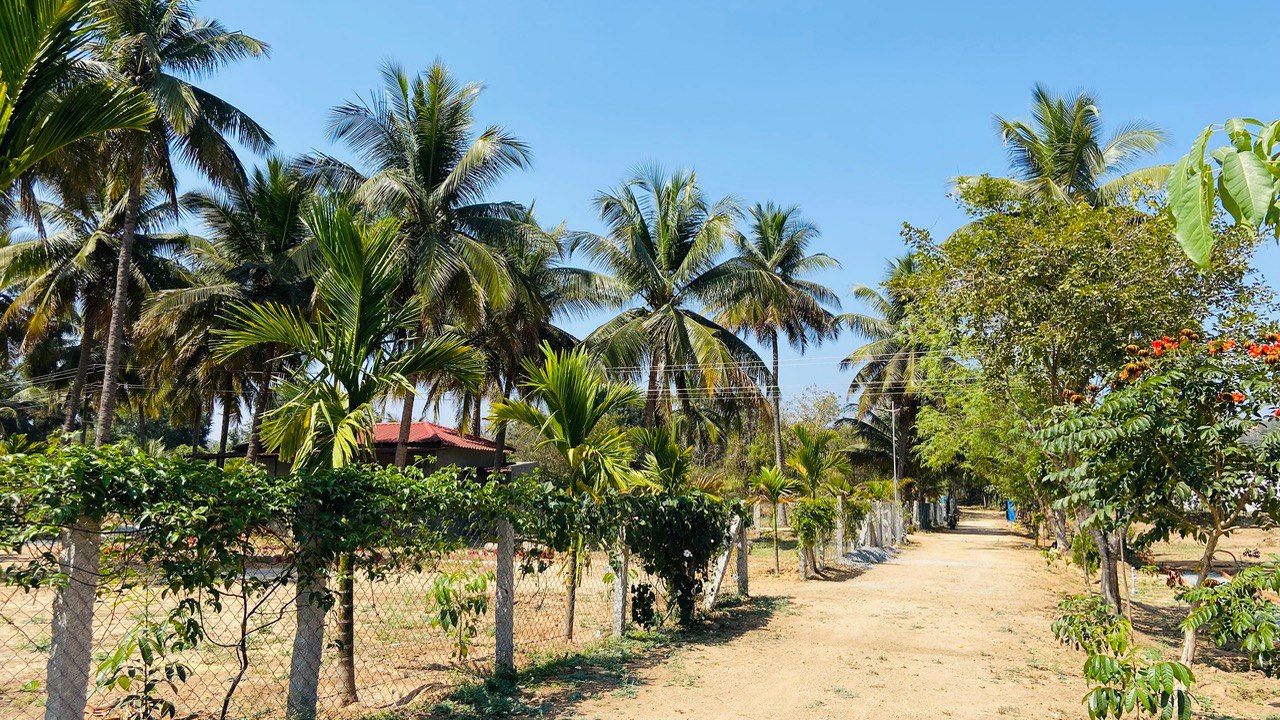 WhatsApp Image 2025-06-25 at 14.50.17_b919423c.jpg